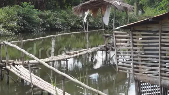 尼帕竹桥和鱼塘小屋视频的预览图