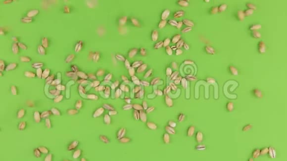 掉落的珍珠大麦颗粒在旋转的绿色屏幕上隔离视频的预览图