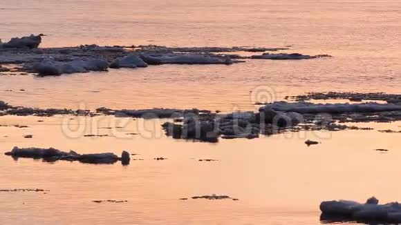 浮冰漂浮在水中碎冰在春天的河流上浮冰漂流视频的预览图