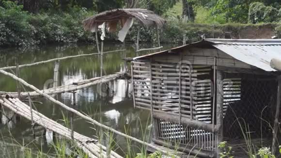 尼帕竹桥和鱼塘小屋视频的预览图