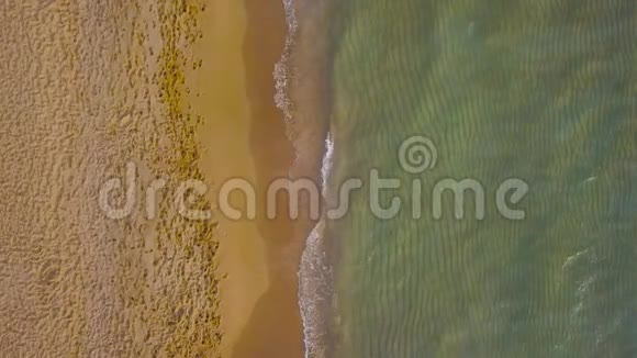 情侣牵手漫步海滩的鸟瞰图视频的预览图