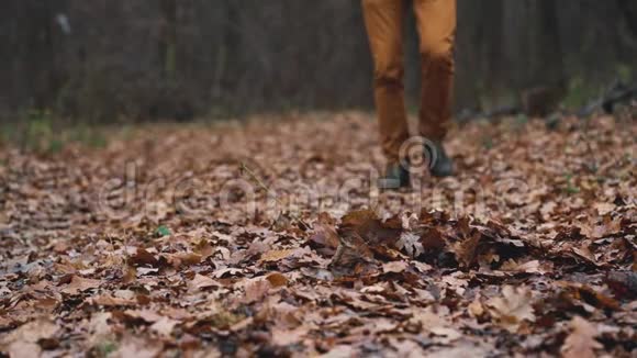 一个人的腿走过秋天的森林把落叶踢得很近慢动作视频的预览图