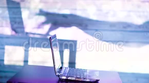 一个男人带着烟火在电脑上工作的影子假期工作视频的预览图