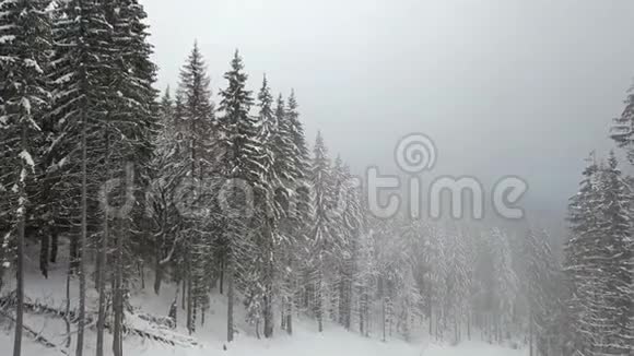 在雾蒙蒙的天气里观看白雪皑皑的雪车视频的预览图