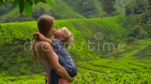 年轻妇女和她的儿子参观高地茶园新鲜茶的概念视频的预览图