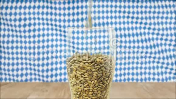 啤酒杯中补充谷物大麦麦芽和烤麦制成深色和浅色啤酒性质和概念视频的预览图