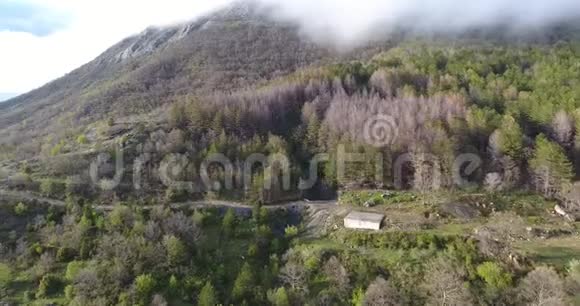 一片未触及的森林在高山上的空中四翼飞机拍摄视频的预览图