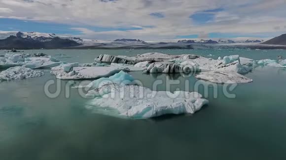 海鸥群栖息在冰川上视频的预览图