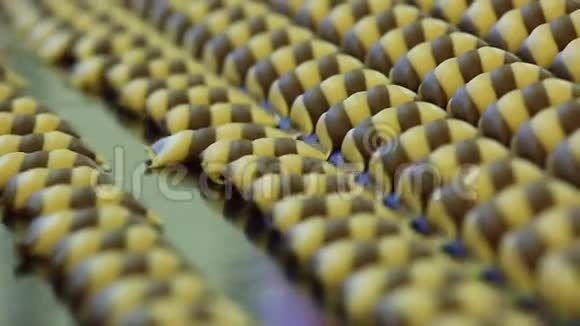 糖果厂生产釉面饼干视频的预览图