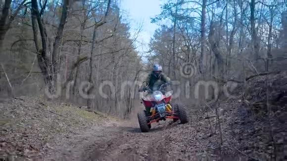 秋天的森林在ATV上以特殊形式出现的人赛车手骑在赛车ATV的木头上视频的预览图