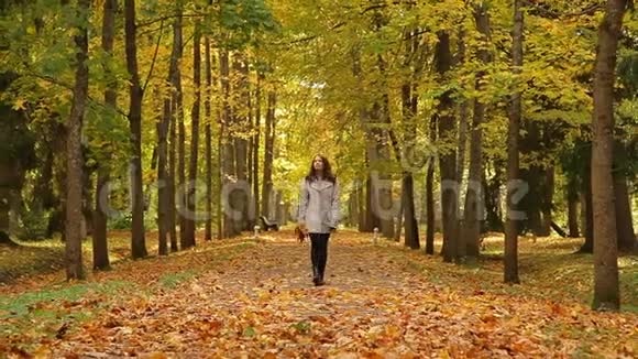 秋天美丽的年轻女子在公园里徘徊手里拿着一束叶子转身扔树叶视频的预览图