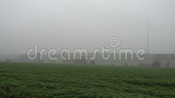 下萨克森的雾状秋日视频的预览图