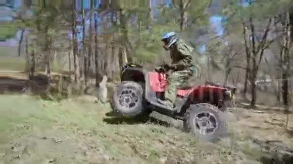 秋天的森林在ATV上以特殊形式出现的人赛车手骑在木头上骑着四人赛车视频的预览图