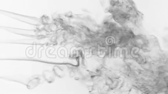 五股黑烟在白色的背景上变成烟雾视频的预览图