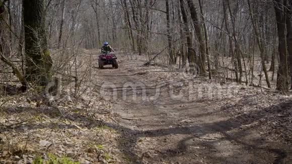 秋木中ATV上的赛车手高速赛车ATV上的人在森林道路上经过视频的预览图