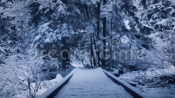 穿过白雪覆盖的公园的木制步道视频的预览图