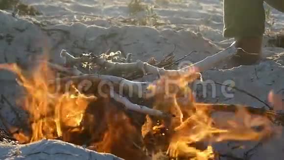 一场明亮的篝火在黑海海岸深处的斯洛文尼亚视频的预览图