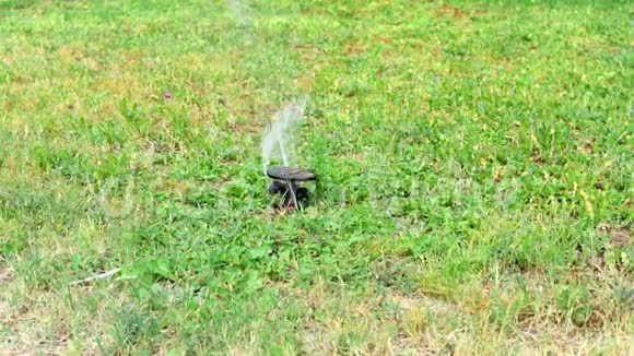 绿化草坪上洒水自动灌溉系统室外浇灌绿草草坪视频的预览图
