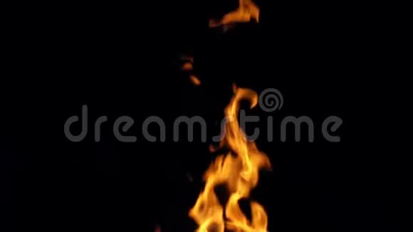 黑色背景上的火焰视频的预览图