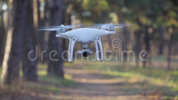 无人机在森林里飞行视频的预览图