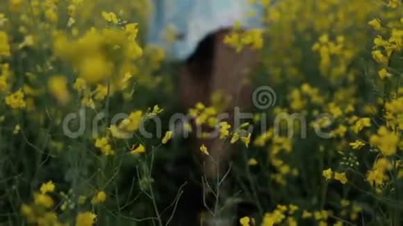 美丽的女孩走在黄花的田野里微笑和欢笑视频的预览图