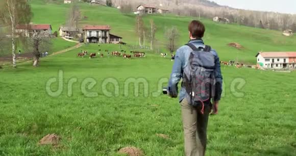 徒步到牛群寻找照片后面跟着真正的人千禧旅行者背包客成年男性视频的预览图