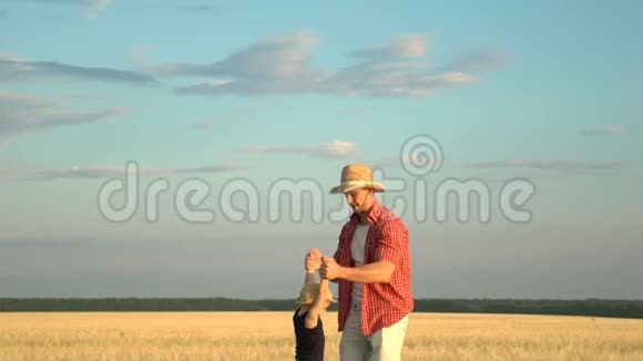 年轻的父亲和儿子在麦田玩耍视频的预览图