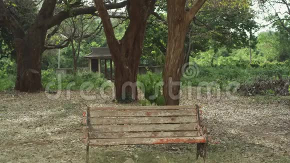 孤独的长椅在森林的白天自然背景下在自然环境中的木凳在公园里视频的预览图