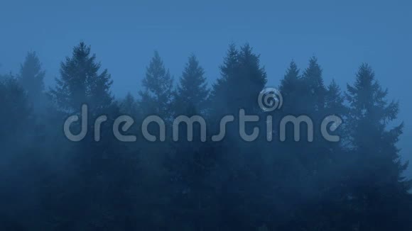 雾中的森林树木剪影视频的预览图
