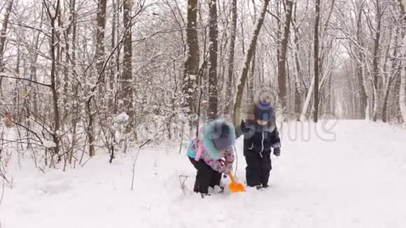 可爱的孩子们在雪地公园里用小铲子挖视频的预览图