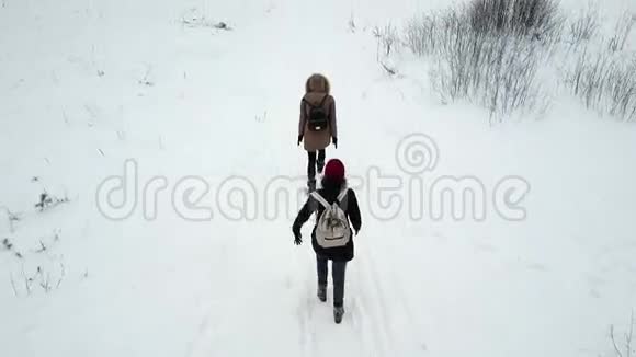 一群年轻人在阴天沿着森林小径散步视频的预览图