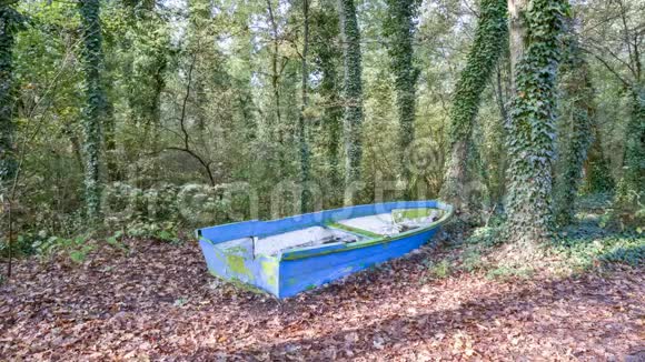 一艘古老的蓝绿小船在自然公园的森林里搁浅了视频的预览图