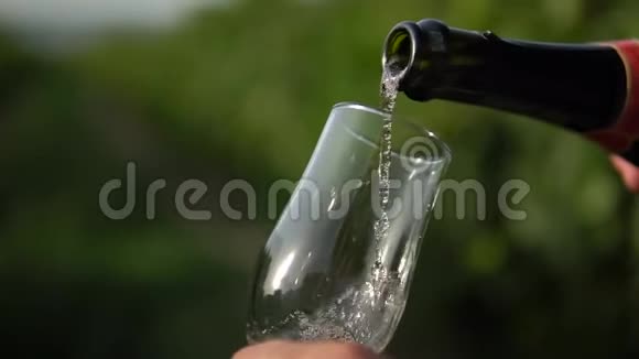 在葡萄园的玻璃杯里倒着香槟视频的预览图
