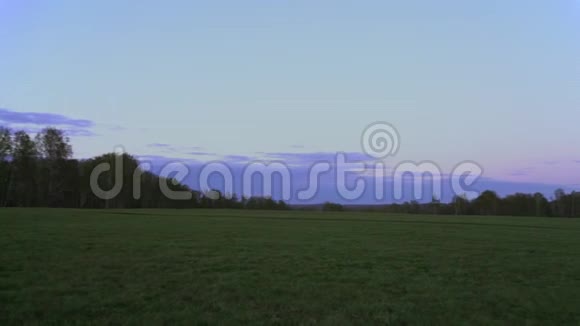 绿色的田野在粉红色紫色的日落背景上视频的预览图