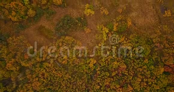 在锡霍特阿林生物圈保护区的山和海的背景下飞越秋天的树木视频的预览图