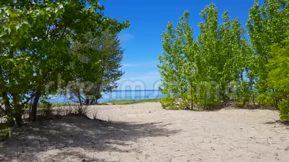 美丽的海滩岸边夏天树木茂盛风景优美的绿色沙滩视频的预览图