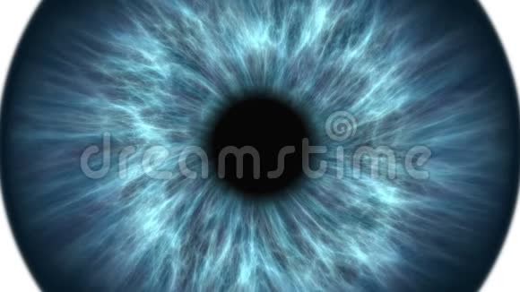 蓝色人眼扩张和收缩非常详细的虹膜和瞳孔的极端特写视频的预览图
