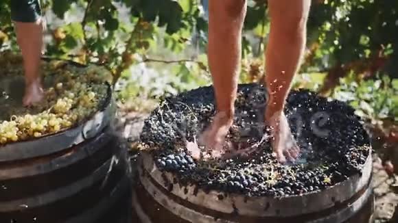 在酿酒厂两双公脚踩着葡萄酿造葡萄酒视频的预览图