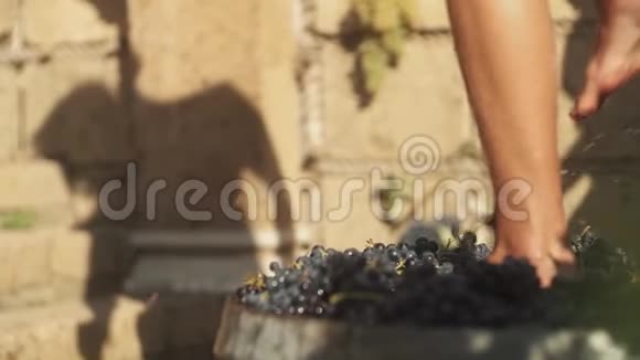 苗条的男人用木桶跺着黑葡萄的腿视频的预览图
