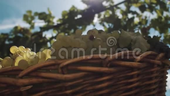 在酒庄的院子里摆着葡萄的Wicker篮子视频的预览图