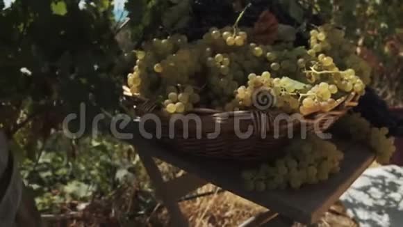 提供葡萄的木制篮子摆在酒庄的院子里视频的预览图