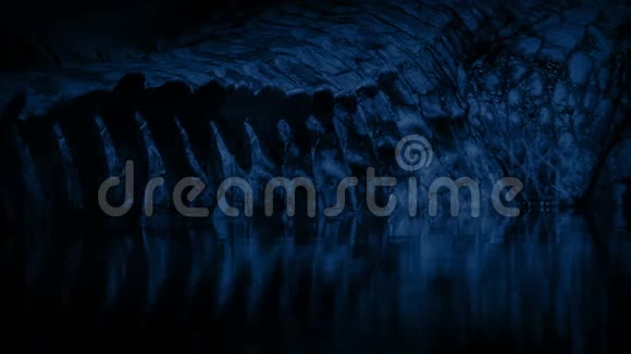 鳄鱼尾巴在夜间沉没视频的预览图