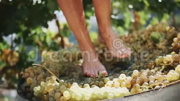 女性的脚在木轴上踩着白葡萄视频的预览图