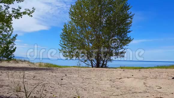 美丽的海滩岸边夏天树木茂盛风景优美的绿色沙滩视频的预览图