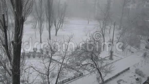 冬季雪暴雪镇树木快速流逝寒冷的寒冷天气和季节视频的预览图