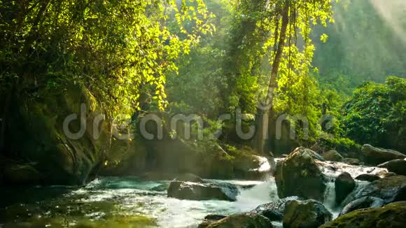 在热带雨林的岩石之间流淌的小溪视频的预览图