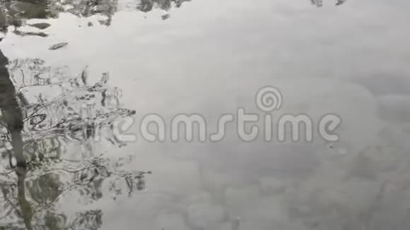 冬季水坑中树木和天空的抽象反射在浅水湖的底部看到石头慢慢慢慢视频的预览图