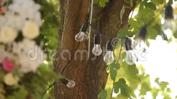 灯泡花环和花组成挂在树上的电灯作为节日装饰关闭机架视频的预览图