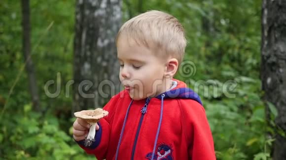 秋天一个孩子在公园散步一个孩子拿着一个白色的蘑菇视频的预览图