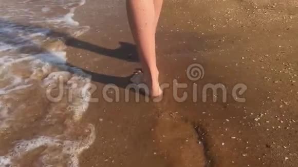 徒步旅行者赤脚在岸上行走的女性脚年轻女子沿着海边的腿女孩踩着视频的预览图